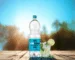 zero tonic